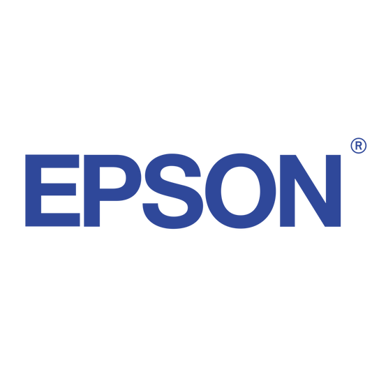 Epson T804900 Light Black Ink Cartridge